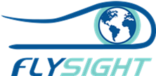 Logo of Flysight Srl